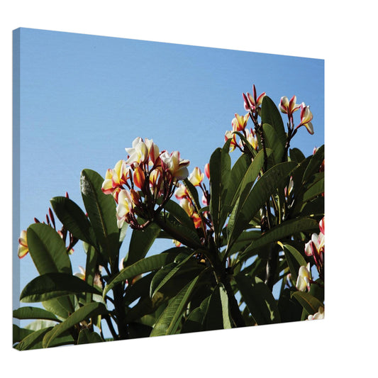 ccf0b78e-a276-4d5c-9304-1556f5414f86